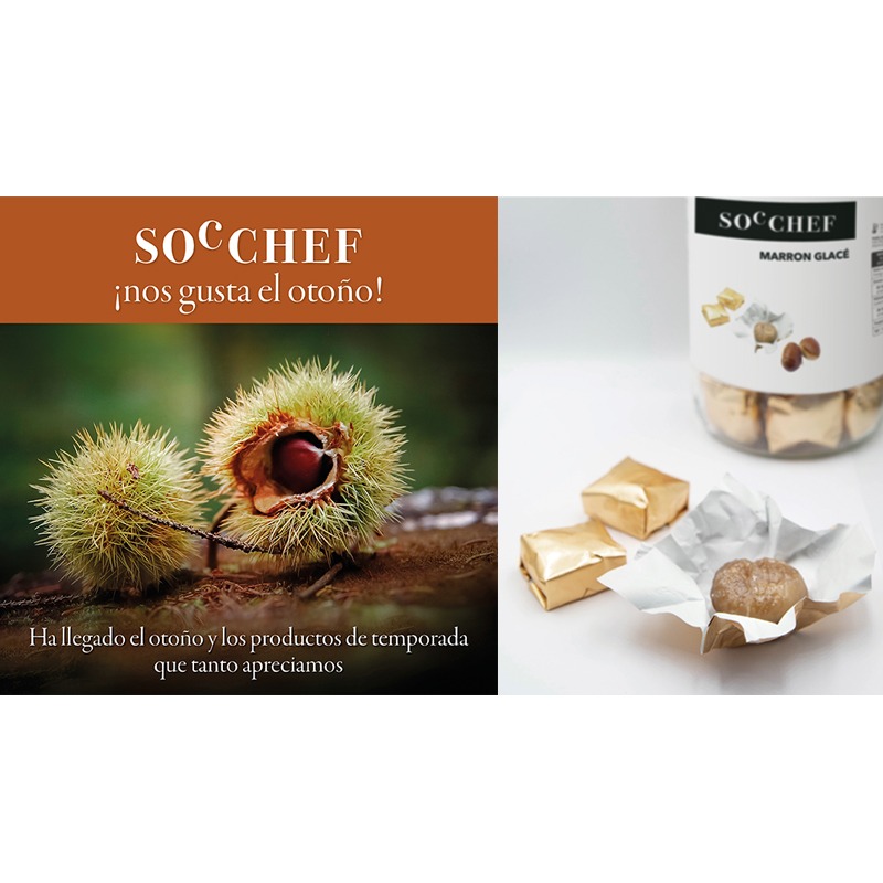 cuaderno digital especial otoño